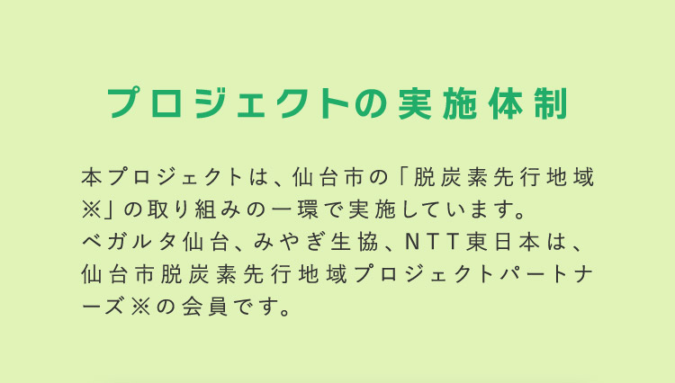 プロジェクトの実施体制